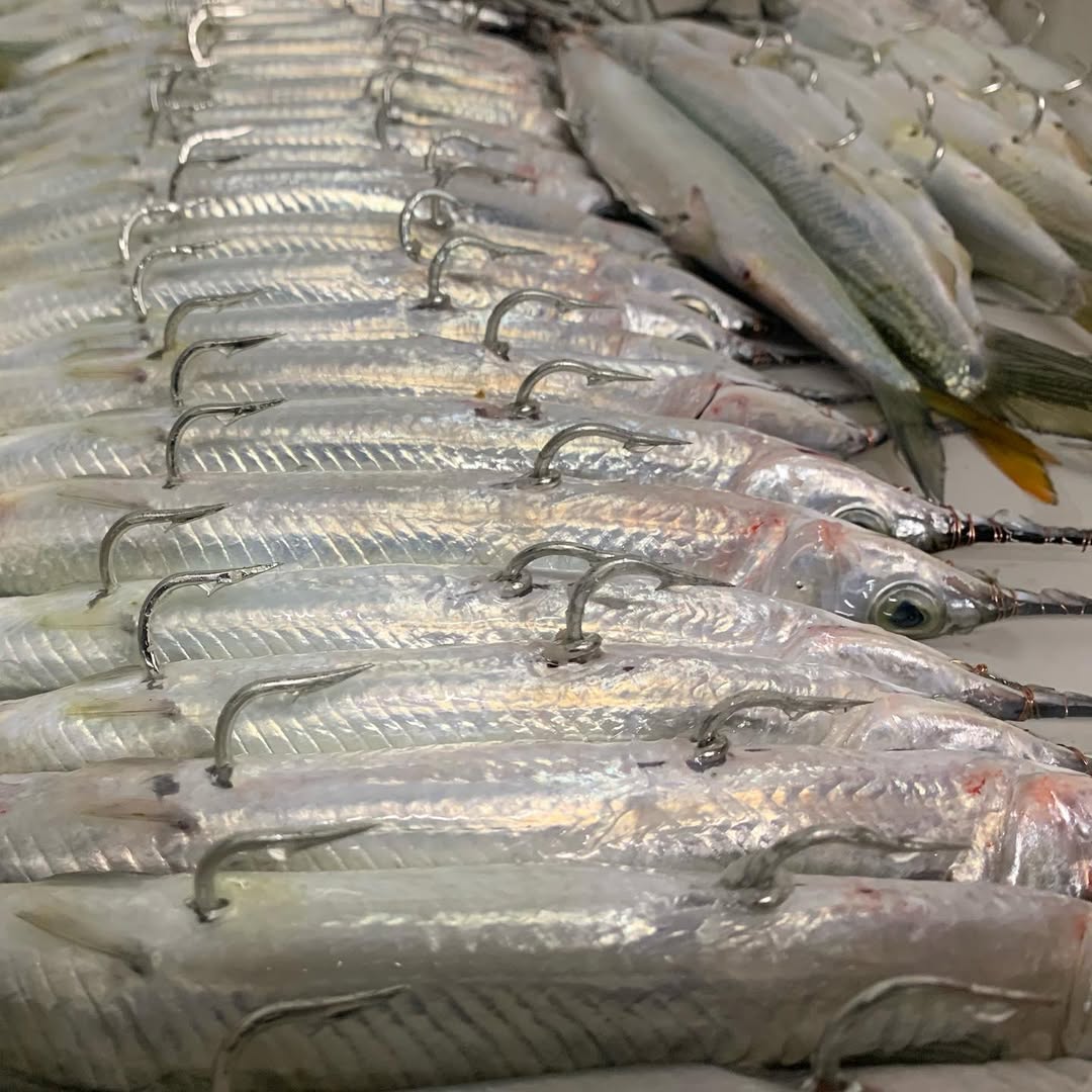 Single Pack Rigged Ballyhoo