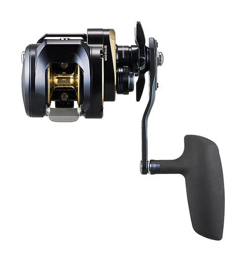 Daiwa 2025 Saltiga 300