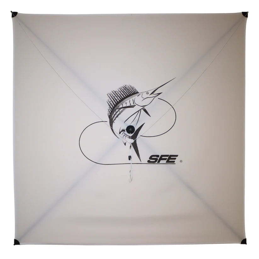 Ultra Light Kite