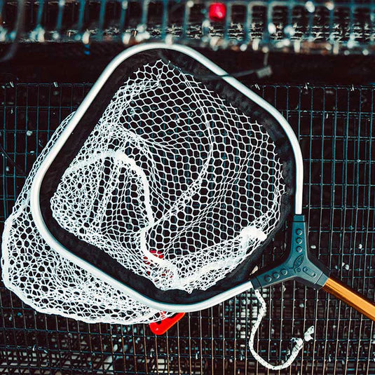 Gold Series Bait Nets