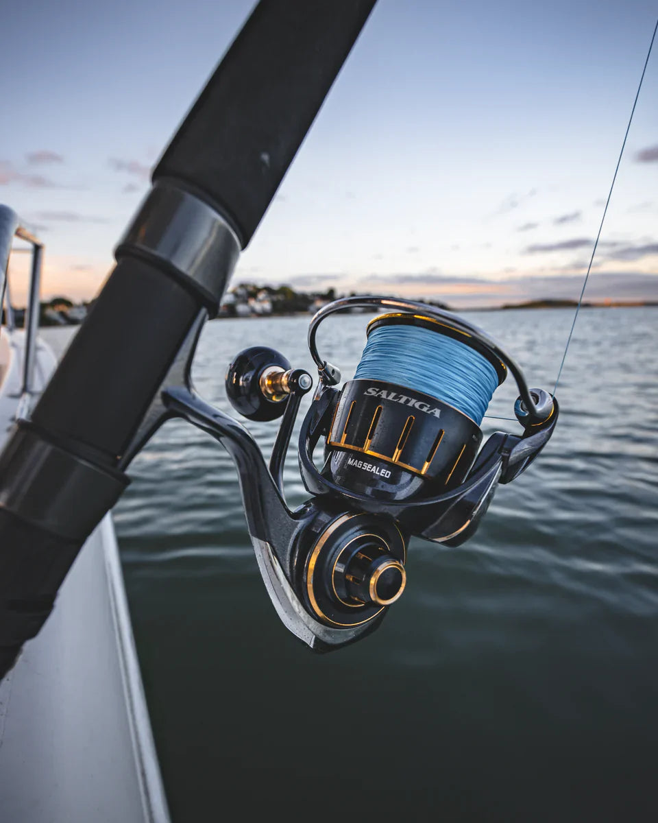 Spinning Reels