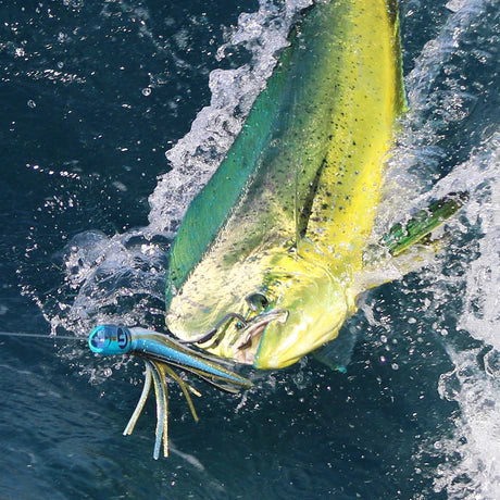 Trolling Lures