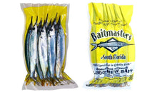 Single Pack Baitmasters Ballyhoo