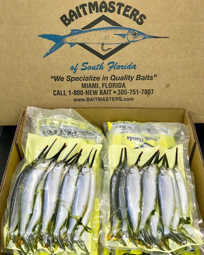 Full Case Baitmasters Ballyhoo