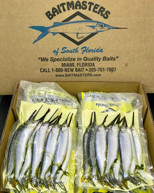 Full Case Baitmasters Ballyhoo