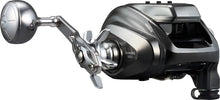 Daiwa Seaborg 500J