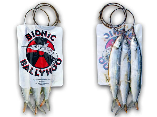 Full Case Rigged Ballyhoo