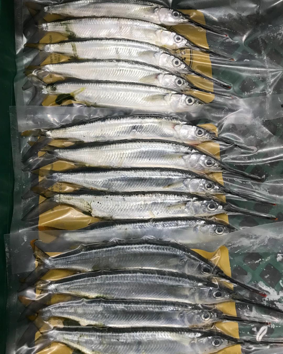 Full Case Triple Crown Ballyhoo
