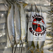 Single Pack Bionic Ballyhoo