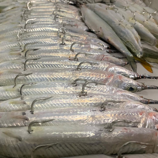 Single Pack Rigged Ballyhoo