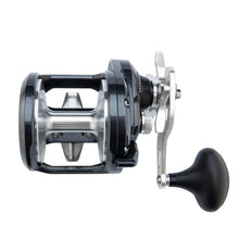 Shimano Torium HGA Star Drag Reels