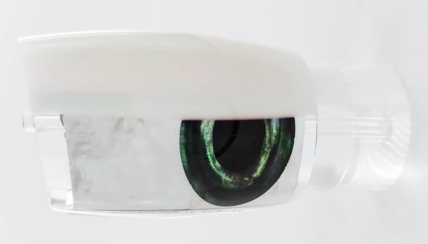 Moyes XL Boogeyman Lures