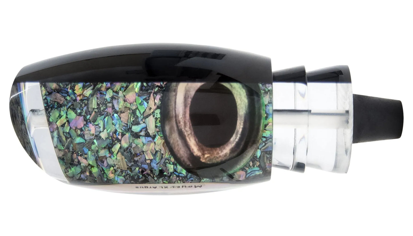 Moyes XL Argus